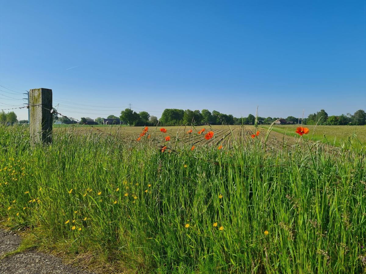 فيلا Tiny House In De Achterhoek Voorst  المظهر الخارجي الصورة
